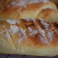Panini alla semola
