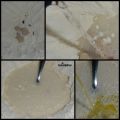 Pizza al fuoco