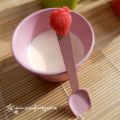 Pannacotta della Patri