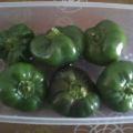 Pipiceddi (peperoni mignon) ripieni
