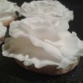 Biscotti 