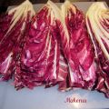 Radicchio rosso di Treviso alla piastra