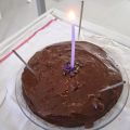 Dolci Veg: Torta al cioccolato e biscotti[...]
