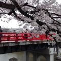 Takayama: relax (e pioggia) fra i monti