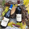 Tenuta Pianpolvere