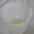 Yogurt home made