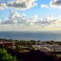 Ritorno con linguine al mare di Pantelleria. O[...]