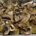 FUNGHI TRIFOLATI