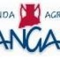 AZIENDA AGRICOLA ZANGANI: LA VOCAZIONE DI UNA[...]