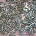 Tagliatelle agli spinaci