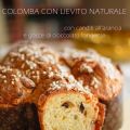 Colomba con lievito naturale