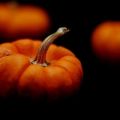 Strudel di Zucca