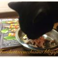 100 Post - festeggiamo con i cuccioli di casa![...]