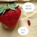 Un dessert, una storia d'amore - Yogurt and[...]