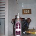 rewiew olio secco 