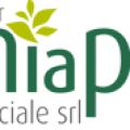LaMiaPelle del viso: il gesto quotidiano per la[...]